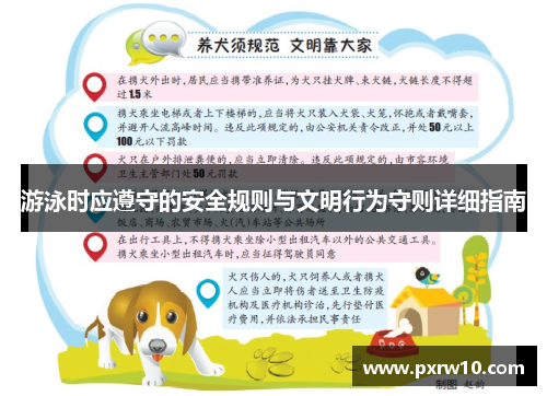 游泳时应遵守的安全规则与文明行为守则详细指南