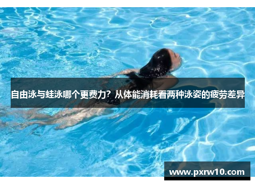 自由泳与蛙泳哪个更费力？从体能消耗看两种泳姿的疲劳差异