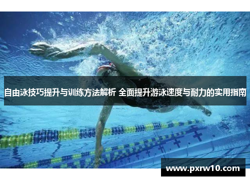 自由泳技巧提升与训练方法解析 全面提升游泳速度与耐力的实用指南