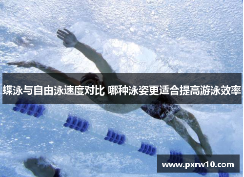 蝶泳与自由泳速度对比 哪种泳姿更适合提高游泳效率